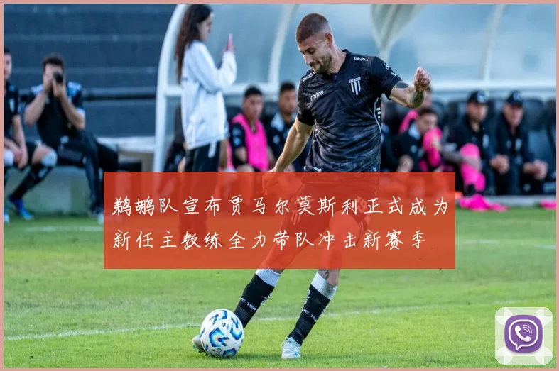 鹈鹕队宣布贾马尔莫斯利正式成为新任主教练全力带队冲击新赛季