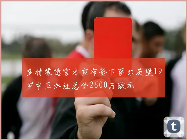 多特蒙德官方宣布签下萨尔茨堡19岁中卫加杜总价2600万欧元